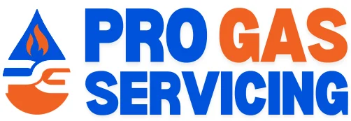 Pro gas Boiler servicing Brighton